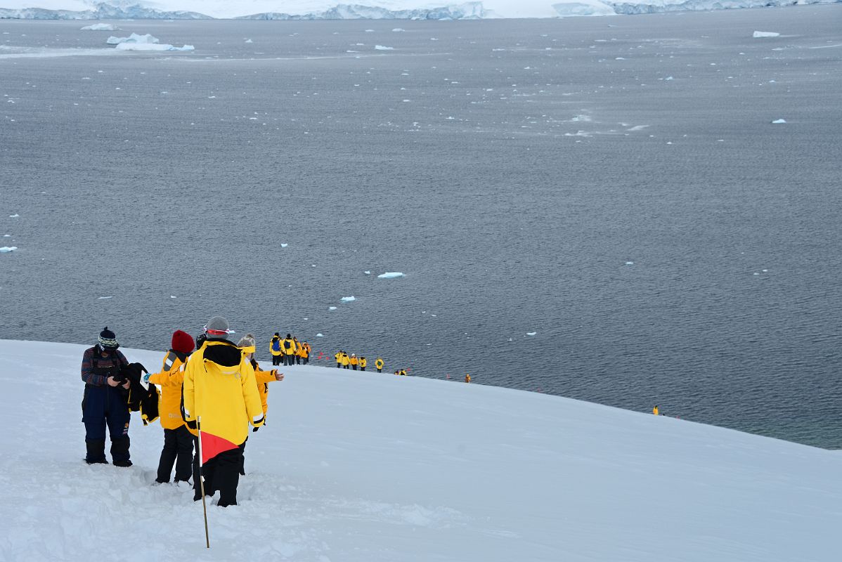 09E Descending The Steep Trail From Glacier Viewpoint At Neko Harbour On Quark Expeditions Antarctica Cruise